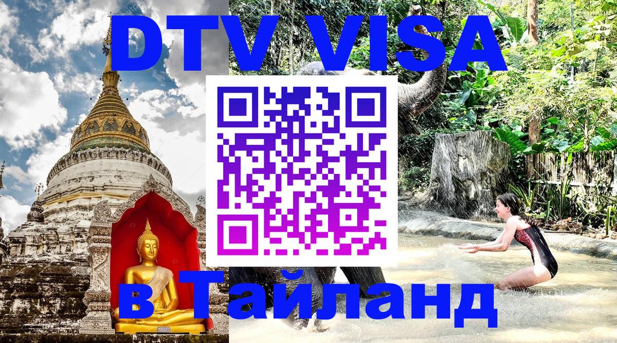 Оформление DTV визы под ключ: стоимость и тарифы, только загранпаспорт - 